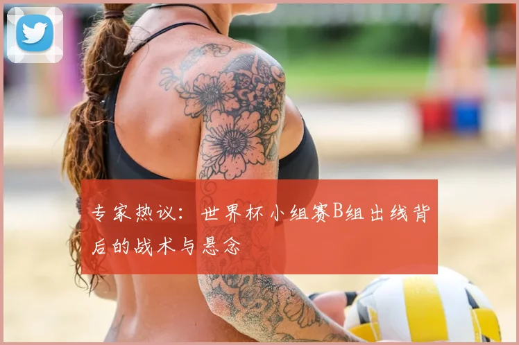 专家热议：世界杯小组赛B组出线背后的战术与悬念